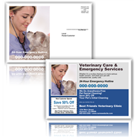 Veterinarian Postcard